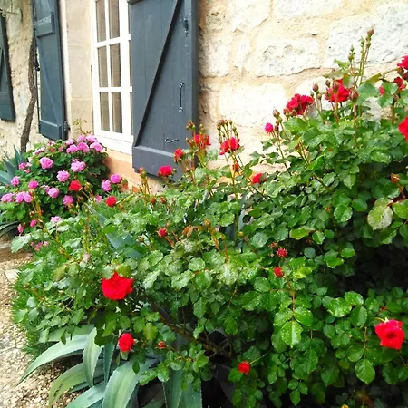 Holiday home Magnifique Villa En Pierres Au Coeur De Saint Antonin Noble Val - Piscine Et Jardin Prives -10 Personnes Saint-Antonin-Noble-Val