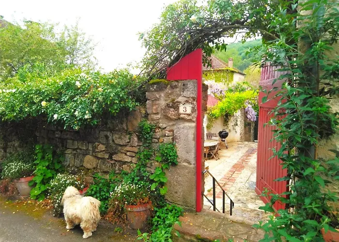 Magnifique En Pierres Au Coeur De Antonin Noble Val - Piscine Et Jardin Prives -10 Personnes *